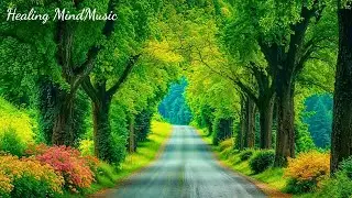 Beautiful Relaxing Music 🌿 Stop Overthinking, Stress Relief Music, Sleep Music, Calming Music