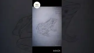 Frog drawing easily @SKBIOSketching #skbios #trending #viral #biology #art #frog