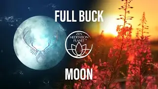 Full Buck Moon &ndash; Circle of Life in Nature: Birth, Grow & Decay &ndash; Thunder Season in July