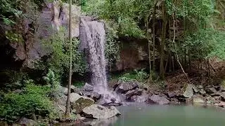 Tamborine Mountain Curtis Falls