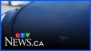 Canada freezes $43M in subsidies claimed by Tesla following suspicious surge in sales