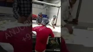 Onion processing Onion Dehydration Plant