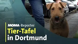 Die Tier-Tafel: Wenn das Geld für Tierfutter nicht mehr reicht | ARD-Morgenmagazin