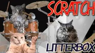 scratch by litterbox the cat band - music video animation