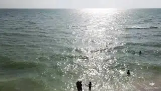 Turner Beach, Captiva FL