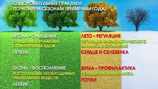 Укрепление здоровья ВЕСНОЙ в традиционной китайской медицине | Весна - период очищения печени | ТКМ