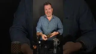 How to use the iLOLA Tea Disc Humidor