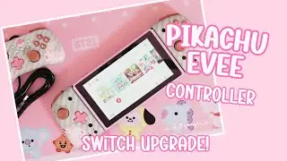 I Got The Cutest Nintendo Switch Ever!