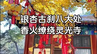 【Travel in Beijing 】 Stunning Beauty of Badachu Temples｜银杏古刹八大处，香火缭绕灵光寺#寺庙 #travel #旅行 #北京 #autumn