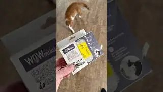Moje koty przez to oszalały!🐱🍃
