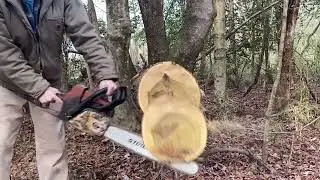 Stihl 036 vs. Stihl 036 PRO