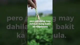 #tagalogmotivation #shorts #pinoyadvice #lifetipsph #hugot