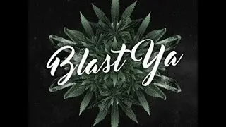 [BASS HOUSE] Borgore feat Barrington Levy - Blast Ya (Prjct Nu Bld Remix)