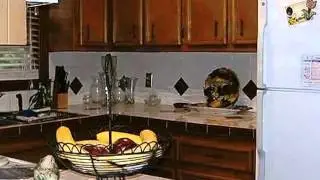 Homes for Sale - 911 Macon Embro Rd Macon NC 27551 - Sheila Owen