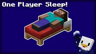One Player Sleep! #Shorts (addon Download)