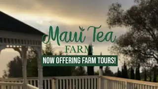 Maui Tea Farm: Tour Tutorial