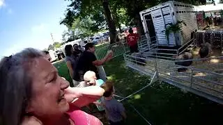 pig race at the 2025 Montgomery County fair 