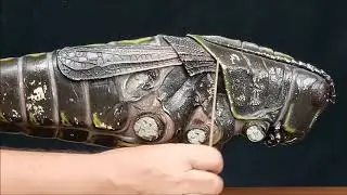 Grasshopper model