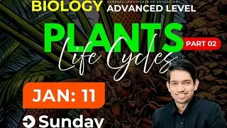 Plant Life Cycles Part 2| 2027 Theory