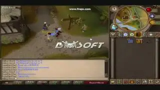 Baby Cloud (99 Defense/ 9 Hitpoints/ 27 Combat) Gets 10 Hp