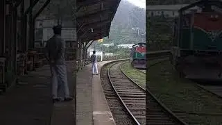 duck train fun 🤣😂🤣😂🤣😂