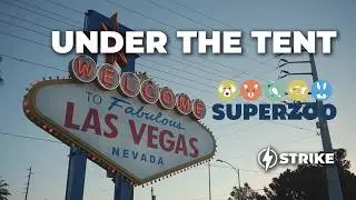 Under The Tent: Sharpies Sharpening Booth Upgrade at Super Zoo 2025