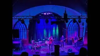 Crystal Ship Live Crawling King Snake