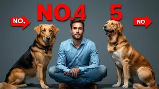 The 5 Best Fire-Rescue Dog Breeds (Ranked)