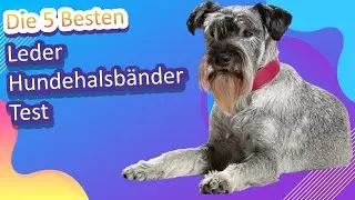 Die 5 Besten Leder Hundehalsb&auml;nder Test