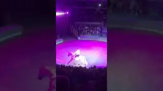 Самарский Цирк🤹&zwj;♂ #shorts #circus #funny #viral