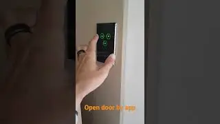 open door by app in smart home #shorts