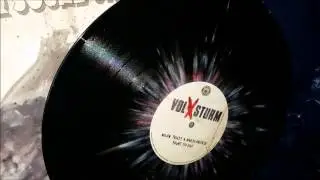 Volxsturm feat. Roger Miret(Agnostic Front) - Never trust a hardcore kid