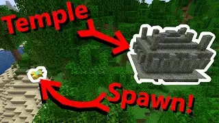 Minecraft 1.17 Seed: Jungle Temple, Flower Forest, Shipwreck at Spawn - Java Edition