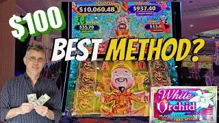 AWESOME BONUS! Gold Stacks 88 Turtle Kingdom 👑 & White Orchid Slot Machines $100 Method Works! #slot