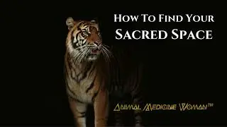 How To Find Your Sacred Space with the Tiger Animal Spirit Guide