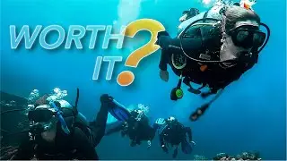 Should I Learn SCUBA DIVING? | 10 Facts You Need to Know