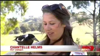 GWN7 News 12-05-2015