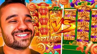 FORTUNE OX WG x FORTUNE OX PG! QUAL O MELHOR TOURO?