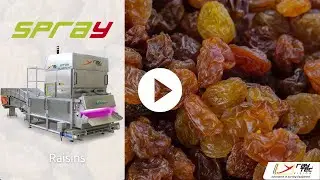 #Spray sorting machine for Raisins | RAYTEC VISION SpA