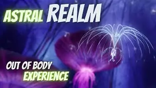 Ethereal Realm ASMR | Astral Projection Meditation