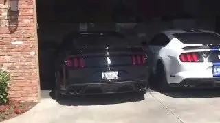 Normal Mode GT350 exhaust comparison resonator delete vs no delete