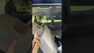 Suzuki Grand Vitara XL7 2004 How to fold the second row of seats