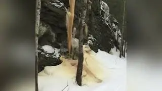 UpNorth [Virtual Trail Tour] Greenville Rail Trail Winter 22