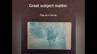 17 CYANOTYPE Real Photo Post Cards