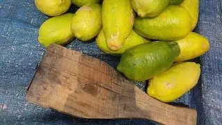 Organic lemon juice recipe | street food - Foodtracker