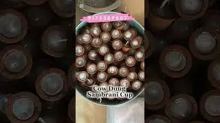 Bulk Order Cow dung sambrani cup
