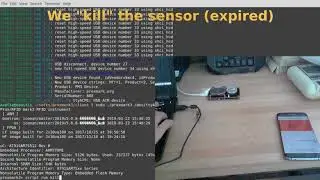 Prematurely killing an operational glucose sensor