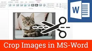 Crop Images In Microsoft Word