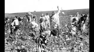 Florida Black History: Reconstruction and Freedmen