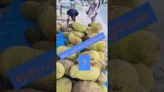#3pcsuit #collection #onlineshopping #jackfruit 😋😋😋😋